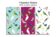 Cute Australian Birds Clipart Bundle, an Animal Illustration by Rebecca Tiana Studio (Thumbnail 2 of 4)