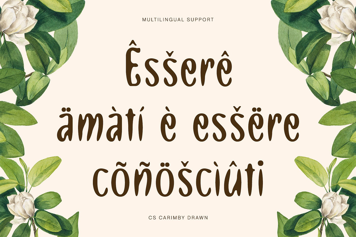 CS Carimby Drawn, a Sans Serif Font by Craft Supply Co. (Photo 6 of 8)