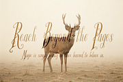 Glyphera Amber - Magical Story Font, a Handwritten Font by HypeWorksCo (Thumbnail 15 of 24)