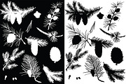 Vector fir branches, an Illustration by risovanya (Thumbnail 4 of 4)