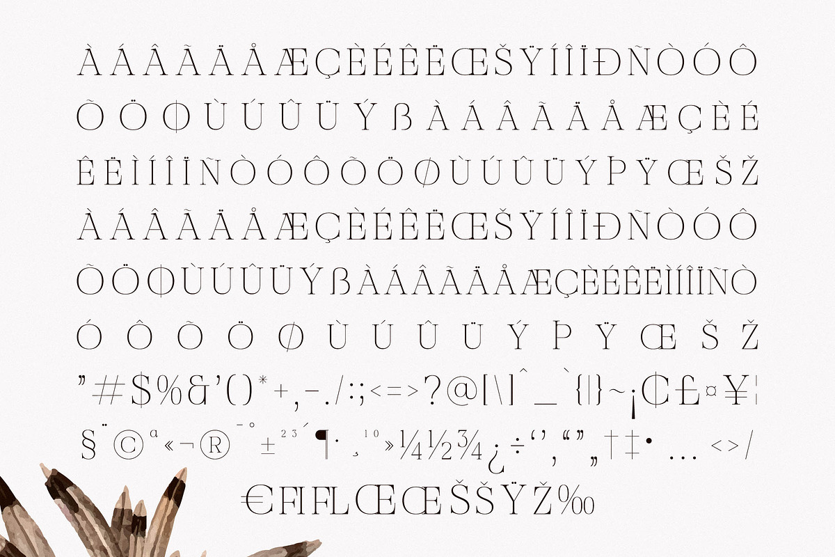 Nocashe New Display Serif Font, a Serif Font by Storytype Studio (Photo 14 of 15)