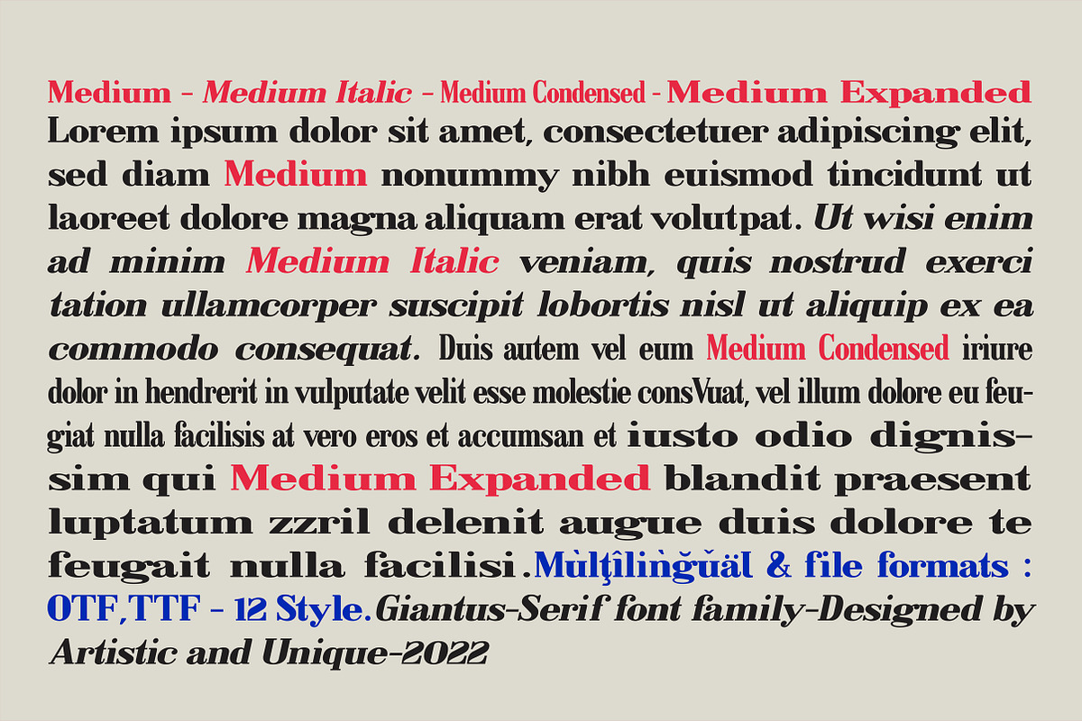 Giantus - Serif font family, a Serif Font by Artistic & Unique (Photo 3 of 13)