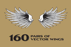 160 Pairs of Vector Wings