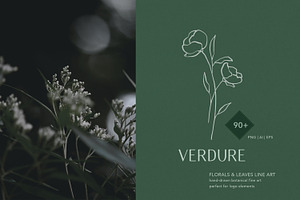 Botanical Line Art Logo, an Illustration by Backyard Rose