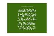 Shothery Mistoph Modern Handwritten, a Script Font by stylishtype.co (Thumbnail 13 of 20)