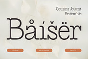 CS Gains – Classic Font, a Serif Font by Craft Supply Co. (Thumbnail 4 of 8)