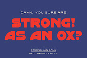 Strong Man Sans: Heavy Display Font, a Font by DeliFreshTypeCo. (Thumbnail 4 of 7)