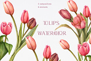 Tulips watercolor clipart, a Decorative Illustration by NatalieArtsDenysenko (Thumbnail 1 of 4)