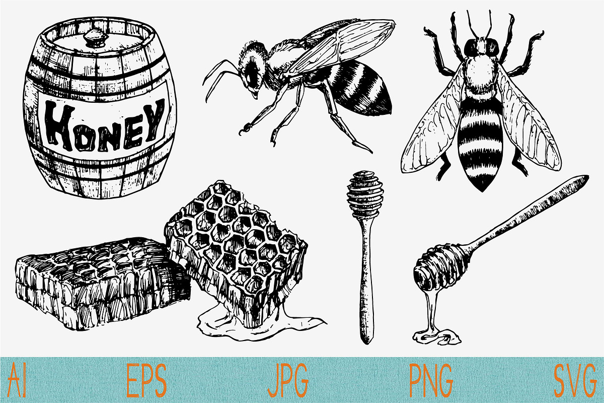 Honey svg bee vector png eps, an Object Graphic by FileVectorSVG (Photo 3 of 3)