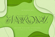 Narony Natural Typeface, a Sans Serif Font by alit design (Thumbnail 9 of 20)