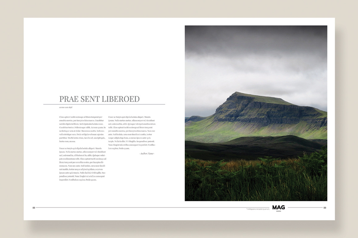 Magazine Template 08, a Magazine Template by pmvch (Photo 11 of 12)