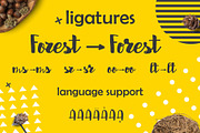 Abermad - brush font, a Script Font by Astarte_design (Thumbnail 7 of 8)