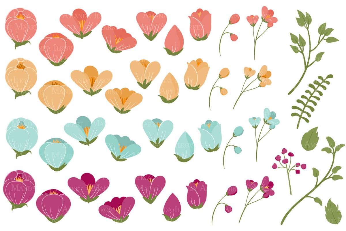Bohemian Flowers Clipart & Vectors, an Illustration by Amanda Ilkov (Photo 3 of 3)