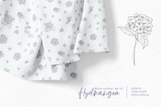 Black contour of hydrangea., a Decorative Illustration by Kotkoa (Thumbnail 4 of 8)