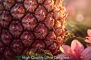 Pineapple Dream Digital Backdrop, a Background Photo by Winwin Design Art (Thumbnail 3 of 5)