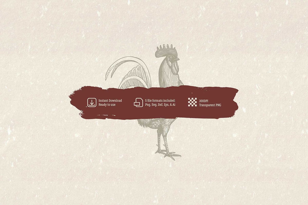 Vintage Chicken Illustrations Vector, an Animal Illustration by Seaquint (Photo 3 of 3)