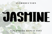 Jasmine, a Serif Font by FreshTypeINK (Thumbnail 2 of 8)