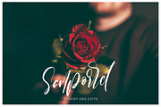 Sampestera Black Friday, a Script Font by MissinkLab Studio (Thumbnail 5 of 10)