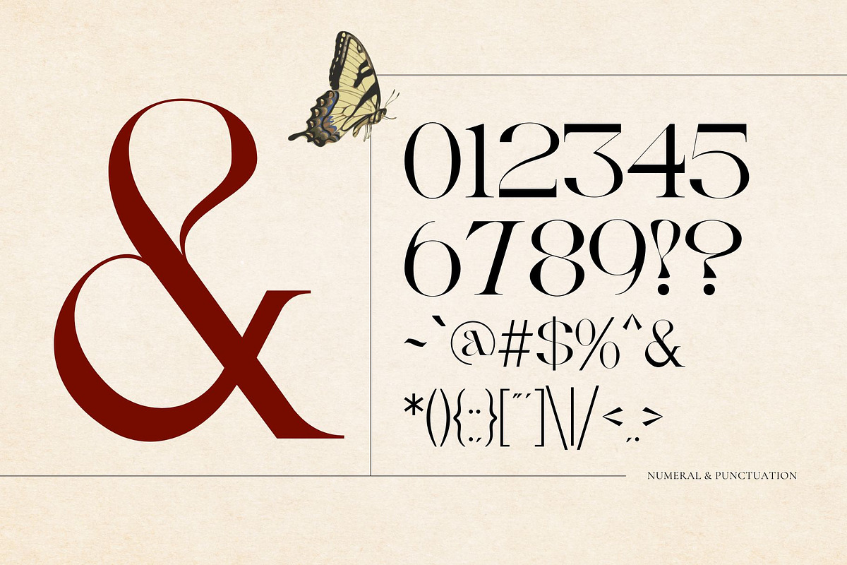 Vintage Agriqy - Modern Logo Serif, a Serif Font by Nirmana Visual (Photo 3 of 6)