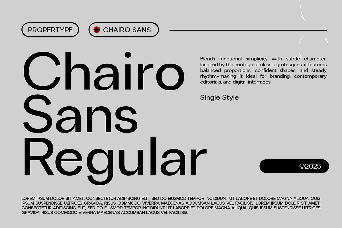 ChairoSans, a Sans Serif Font by Propertype (Photo 1 of 14)