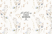 Cold season - watercolor wildflowers, a Decorative Illustration by Pamyatka Shop (Thumbnail 17 of 18)