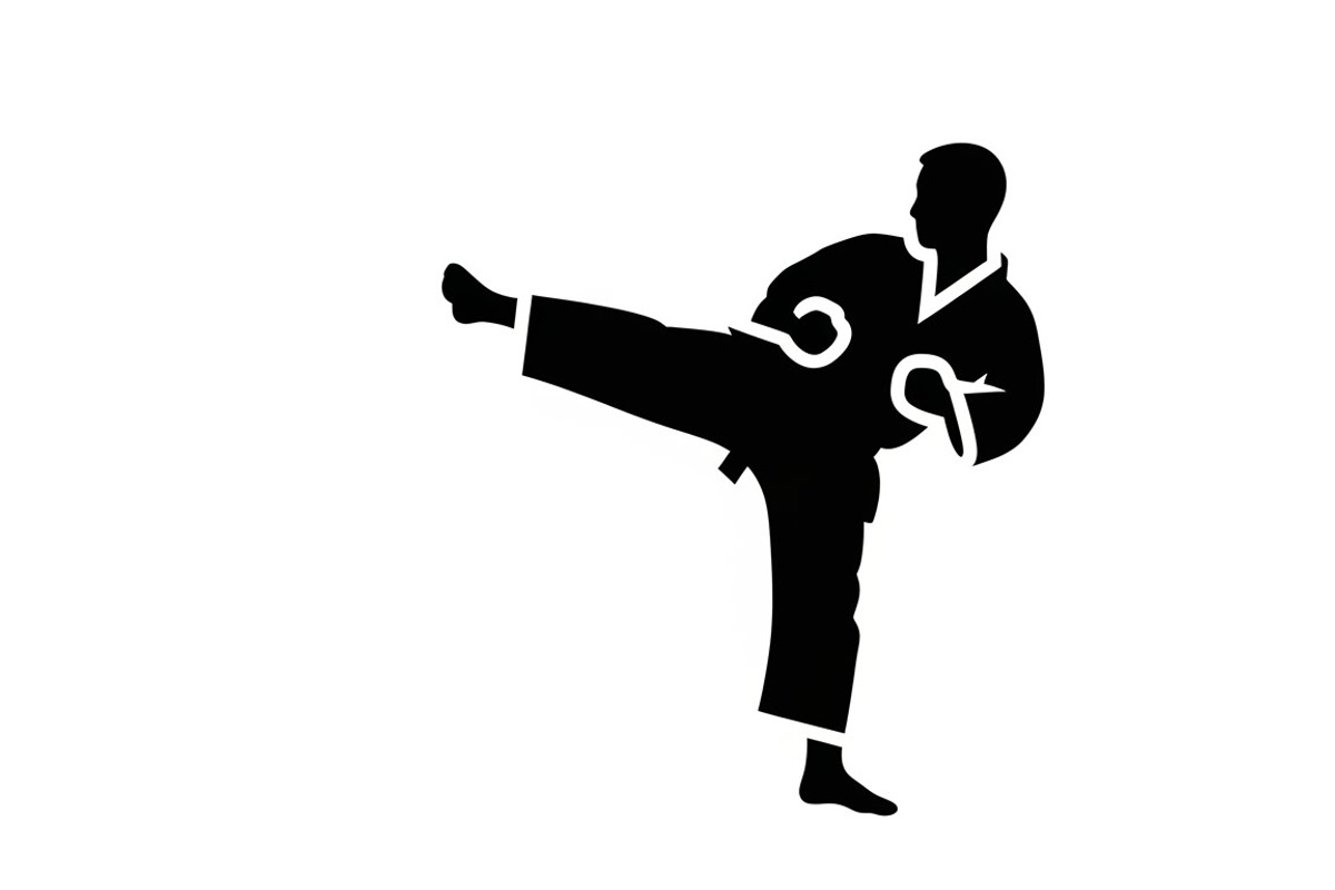 Dynamic martial arts kick silhouette, a Graphic by Amazin_art (Photo 16 of 36)