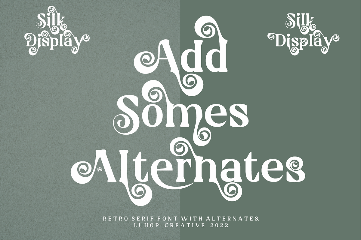 Silk Display, a Font by LuhopCreative (Photo 12 of 17)