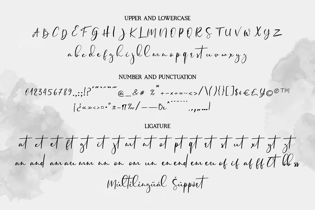 Fansthome | Signature effect, a Script Font by Qaratype (Photo 9 of 22)
