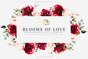 Watercolor Burgundy Blush Flowers, a Decorative Illustration by Patishop Art (Thumbnail 3 of 8)