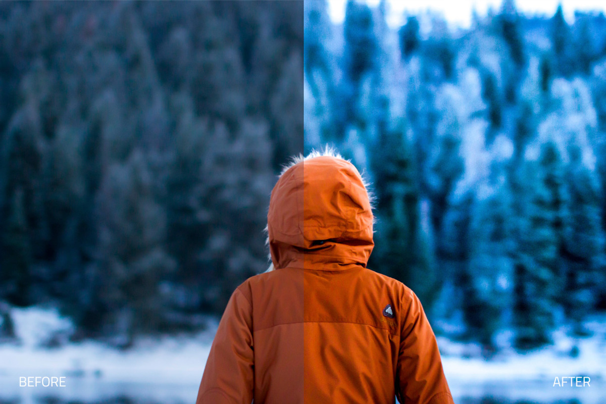 Wintertone Lightroom Presets preview 3