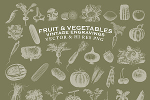 Fruit & Vegetables Engravings Vector