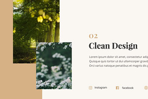 Elegant Corporate Presentation