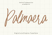 Palmaera - Signature Display Typefac, a Handwritten Font by VASTARD STUDIO (Thumbnail 1 of 12)