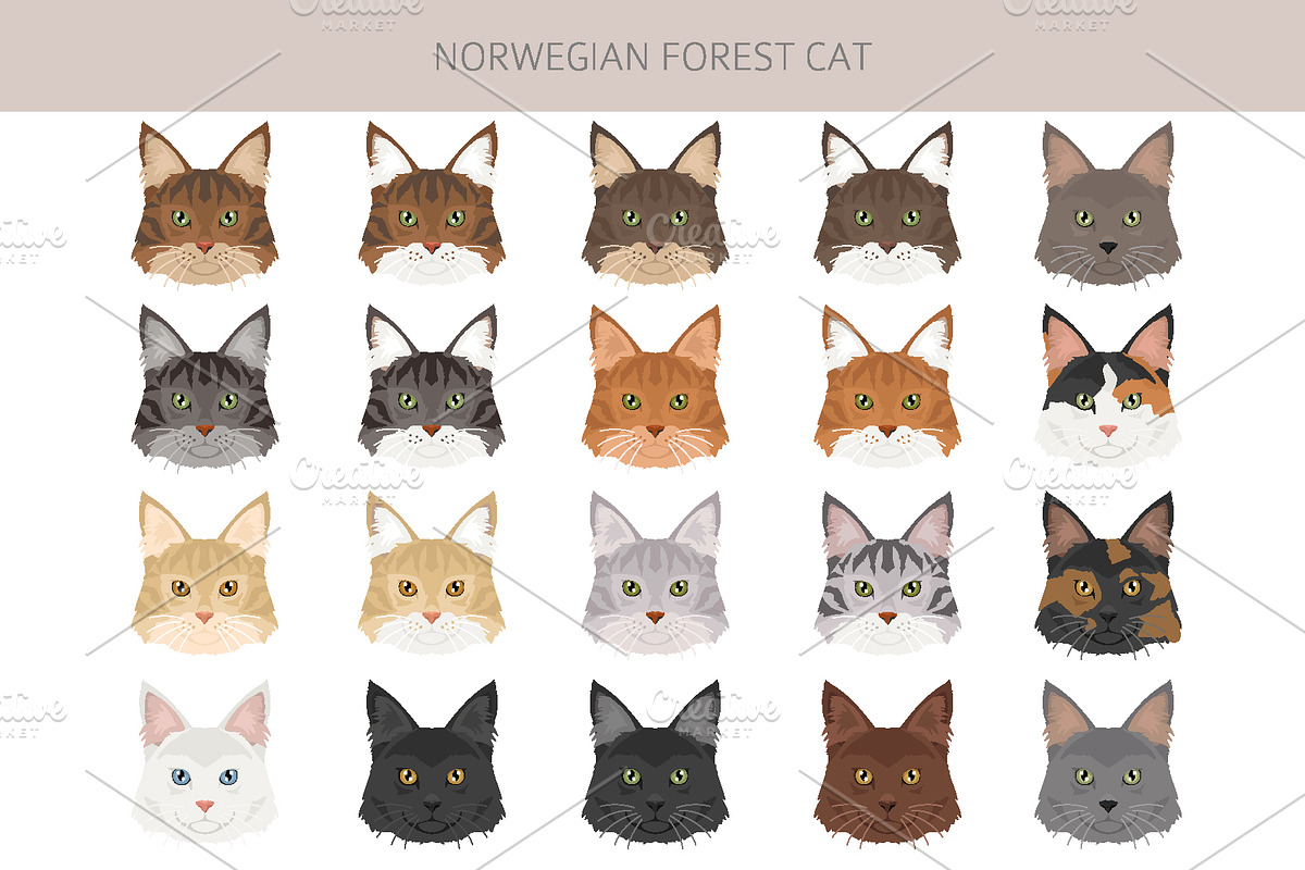 Norwegian Forest cat clipart, an Animal Illustration by pet design shop (Photo 5 of 6)