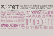 Panforte Pro - 7 fonts, a Sans Serif Font by Zetafonts (Thumbnail 8 of 8)