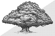 Trees, an Illustration by CGterminal (Thumbnail 3 of 3)