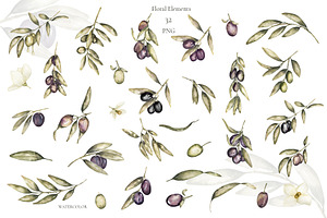 Watercolor Olives Collection