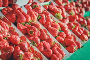 At the farmers market containing fresh, healty, and farmer