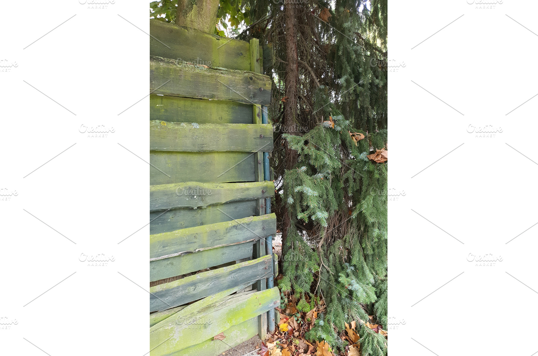 Weathered wooden fence with green, a Nature Photo by Lermont51