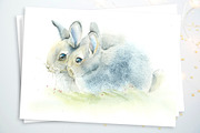 Watercolor Set Rabbits, an Animal Illustration by Budogoshch (Thumbnail 7 of 9)