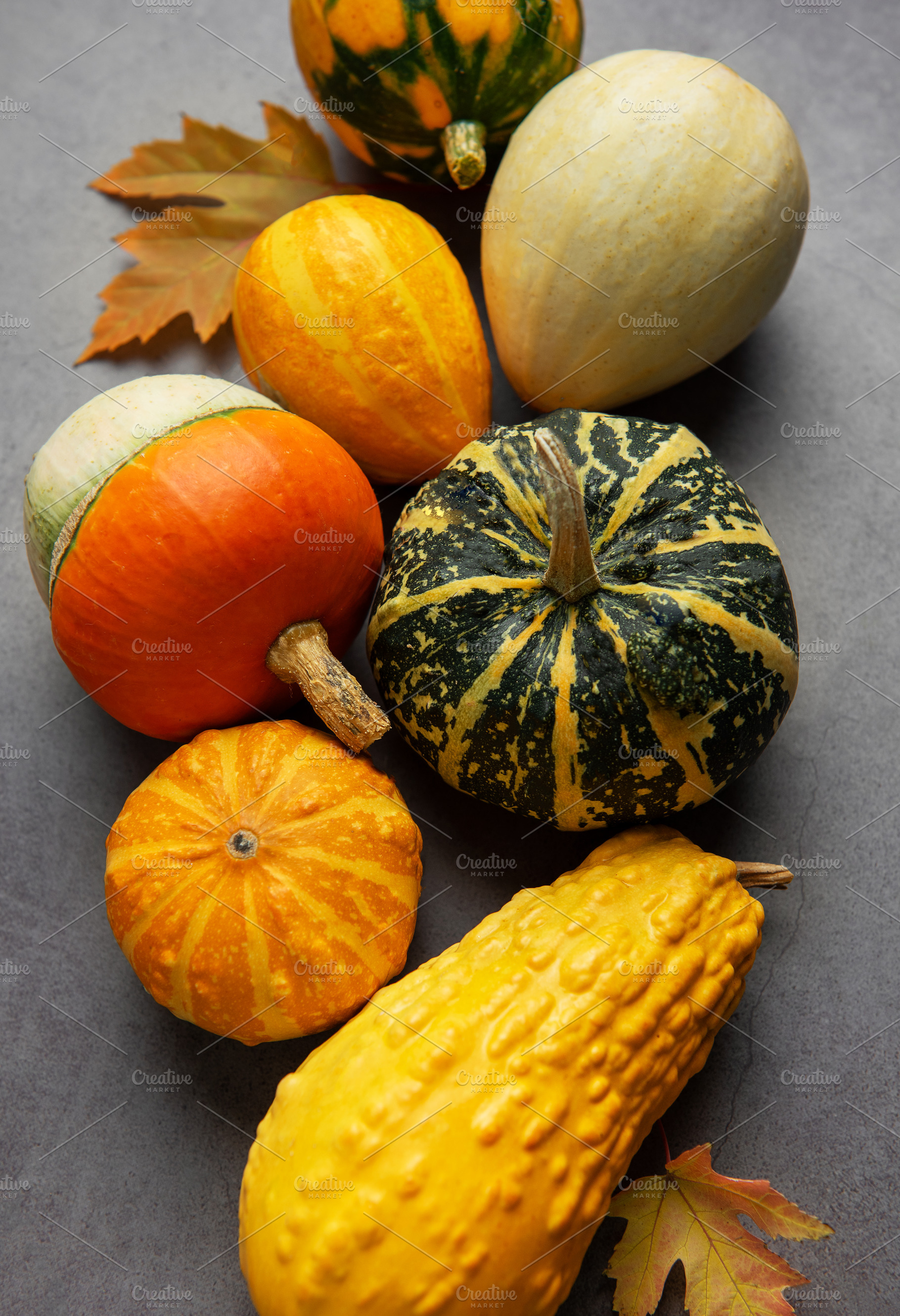 Autumn gourds and leaves creating a seasonal still life, a Holiday Photo by Olena Rudo