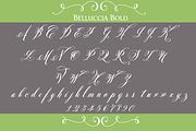 Belluccia Bold Font, a Script Font by Debi Sementelli (Thumbnail 2 of 2)