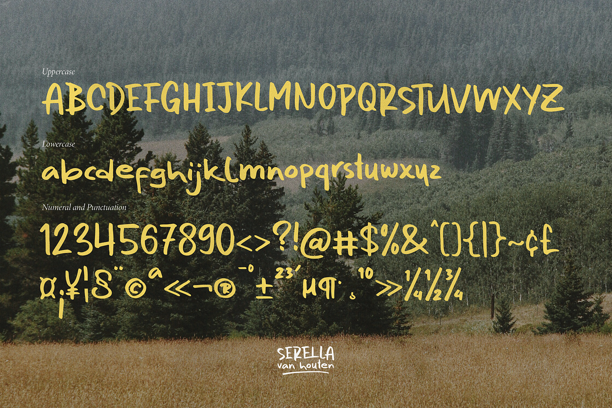 Serella van Houten | Hand Drawn Font, a Handwritten Font by Denustudios (Photo 13 of 15)