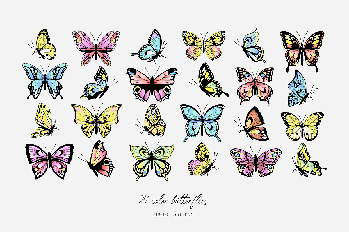 Butterflies vector collection, a Decorative Illustration by Glass Cat Design (Photo 2 of 10)