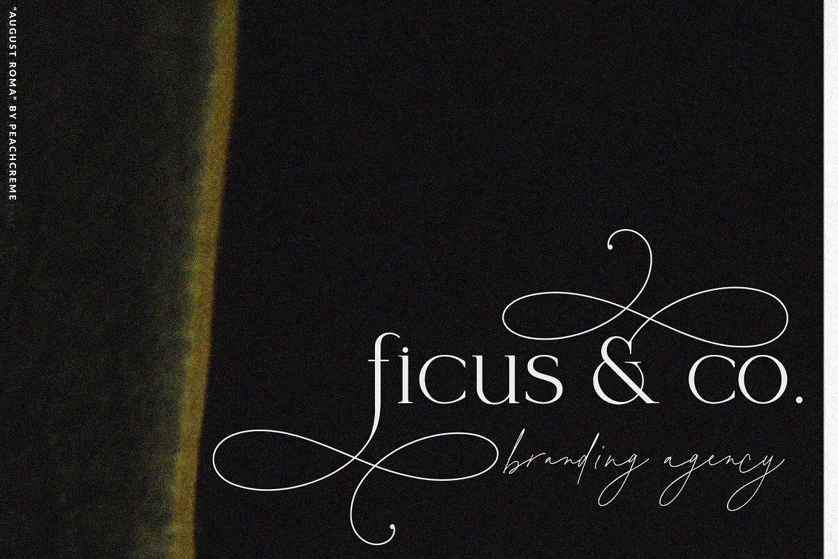 August Roma//Elegant Luxury Font Duo, a Handwritten Font by PeachCreme (Photo 21 of 43)