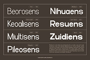 Moldrust - Family Sans Serif Font, a Sans Serif Font by Flawless And Co (Thumbnail 5 of 10)
