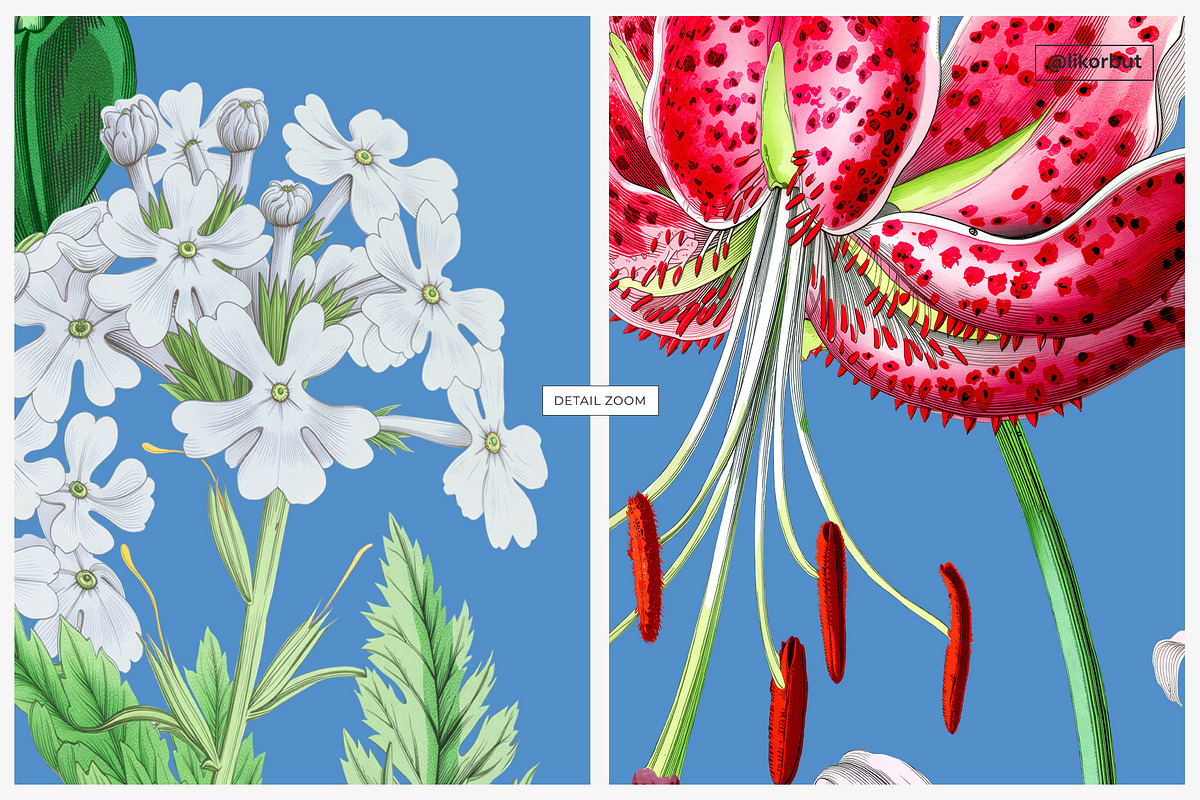 Blue Vintage Botanical Pattern, a Pattern Graphic by likorbut (Photo 7 of 14)