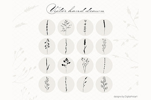 Botanical Clip art Floral vector
