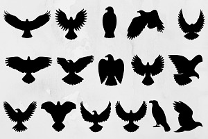 Eagle Silhouette SVG, an Animal Illustration by newminddesign