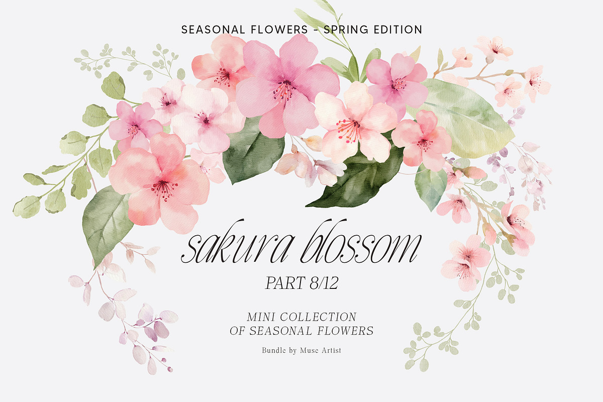 SPRING BOX Watercolor Bundle 400+, a Decorative Illustration by Muse Artist (Photo 60 of 99)
